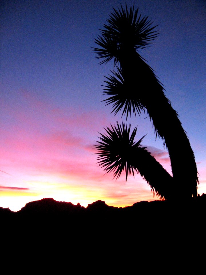 Sunset at Jumbo Rocks