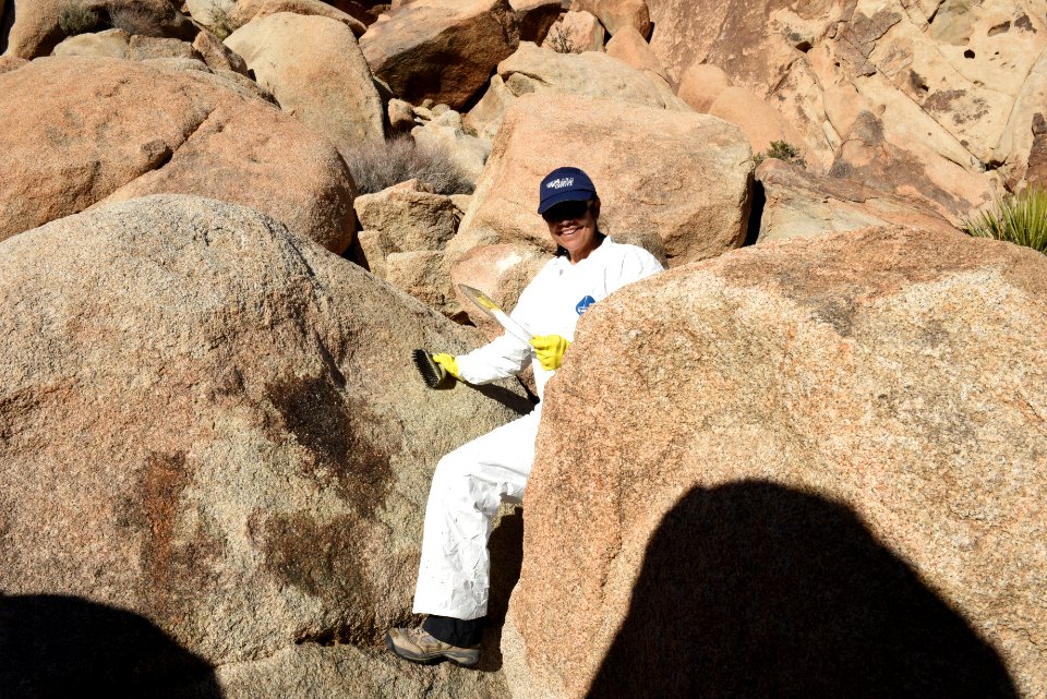 Graffiti Removal Day with Volunteers
