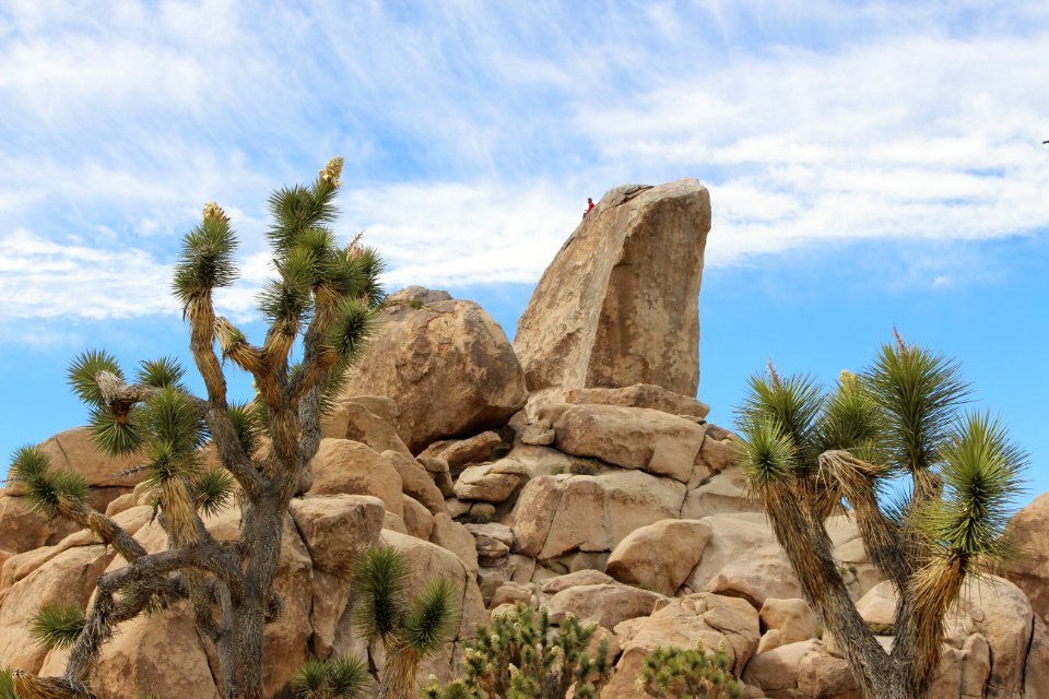 Climber on Headstone Rock