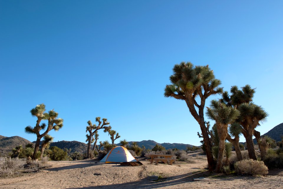 Black Rock Campground