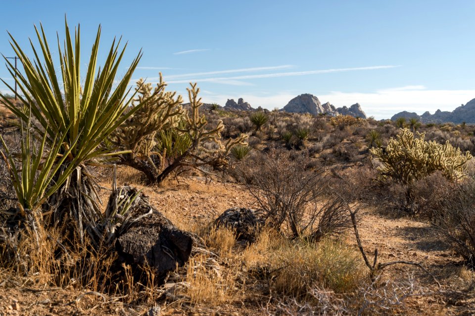 Mojave National Preserve