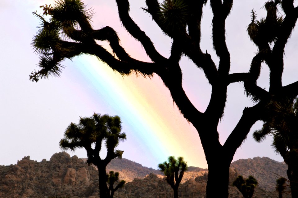 Rainbow on a stormy day