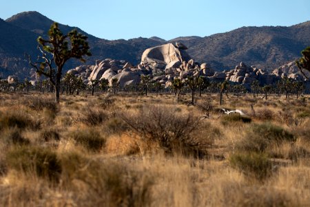 Cap Rock