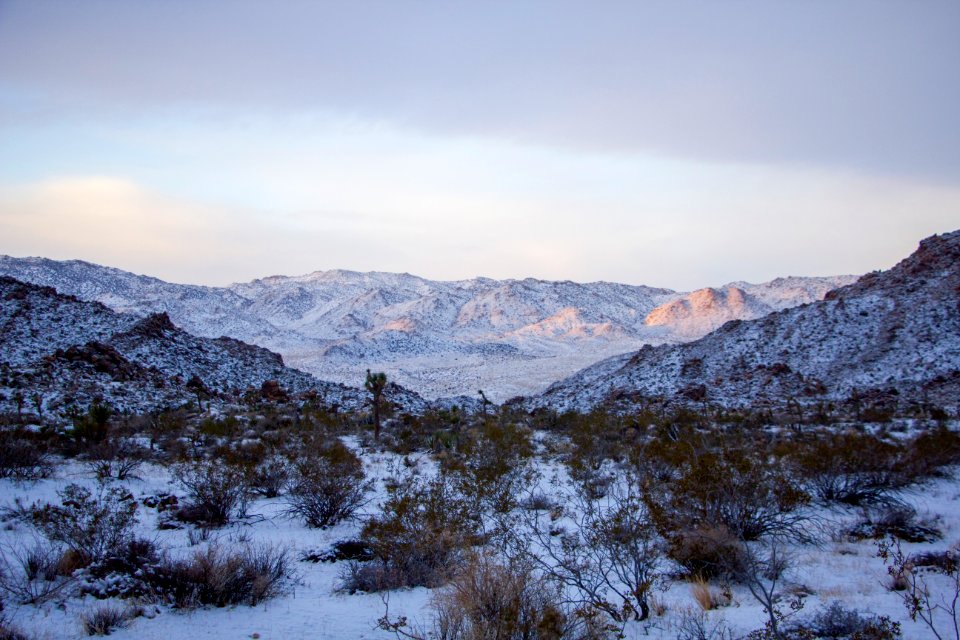 Snowfall on 12/31/14 - Looking towards Covington Flats