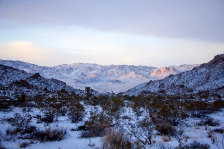 Snowfall on 12/31/14 - Looking towards Covington Flats