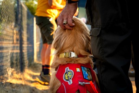 Search and Rescue Canine Team