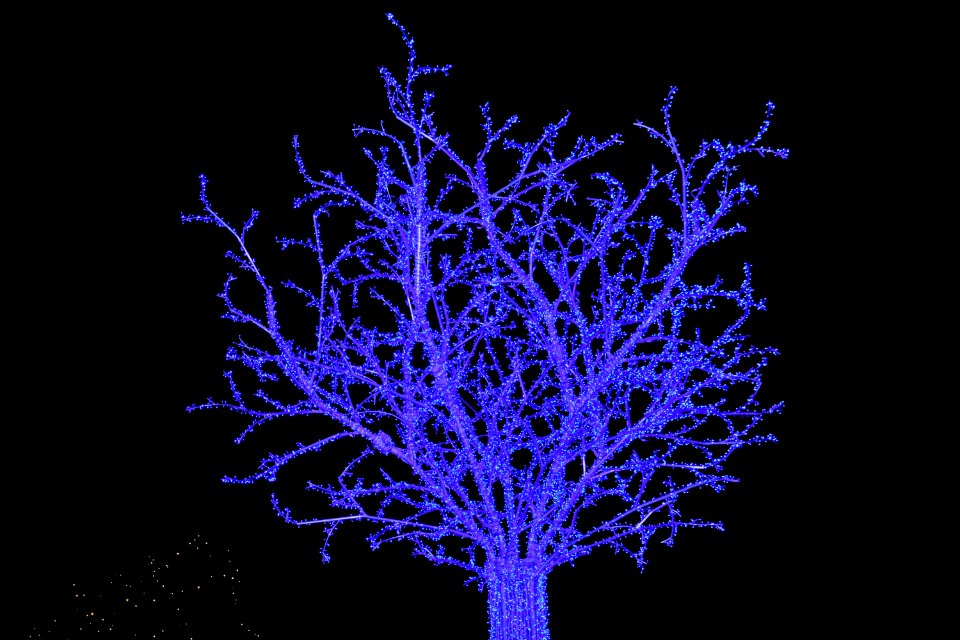 dsc 1722 38607914682 o