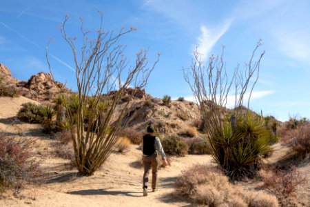 Hiker on Mastodon Peak Trail photo