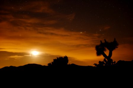 Moon and stars near Cap Rock photo