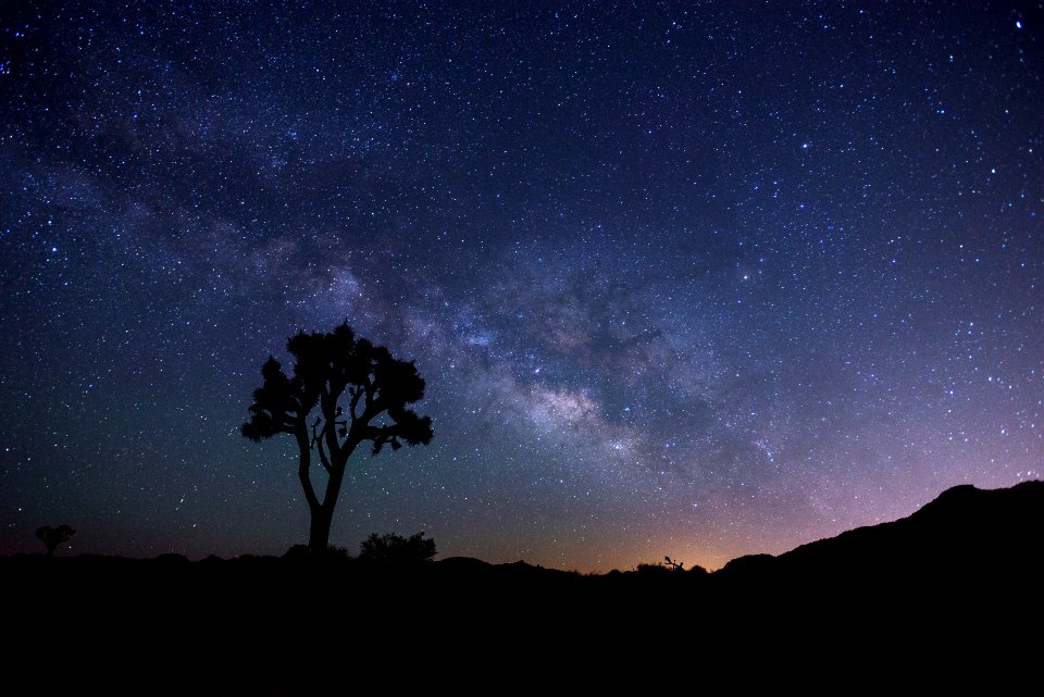 Night Sky