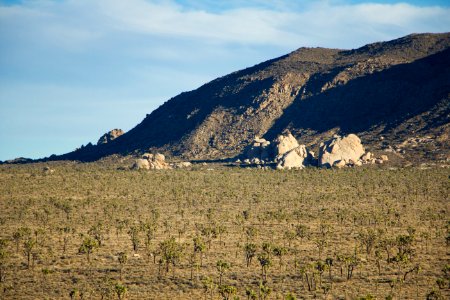 View of Ryan Mountain trailhead from Hidden Valley picnic area photo