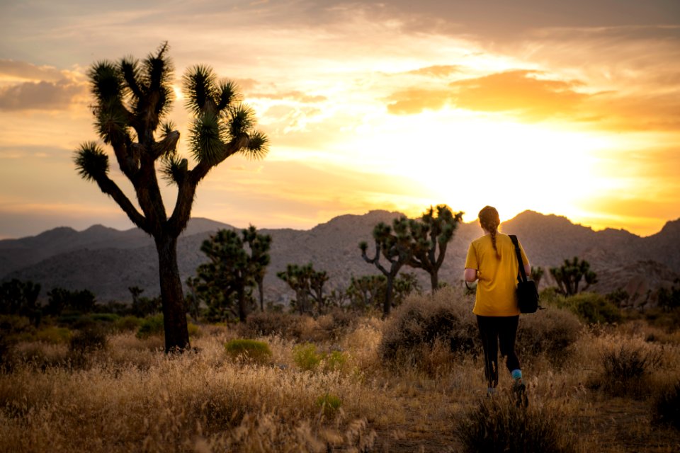 Hiker in Lost Horse Valley