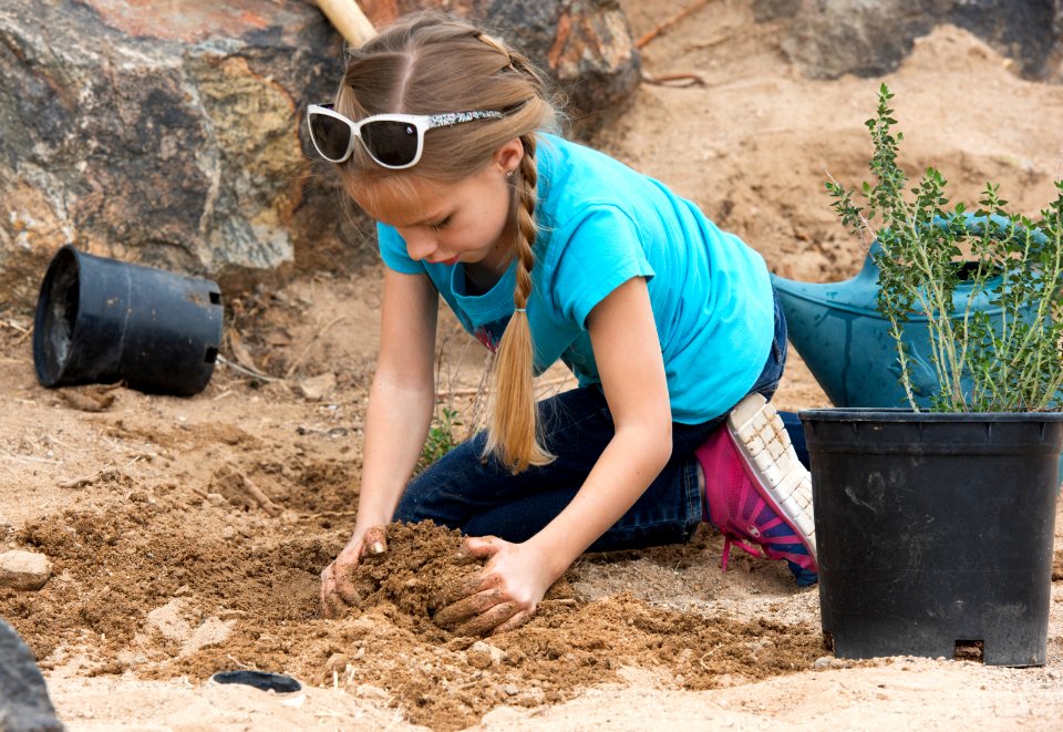 Digging