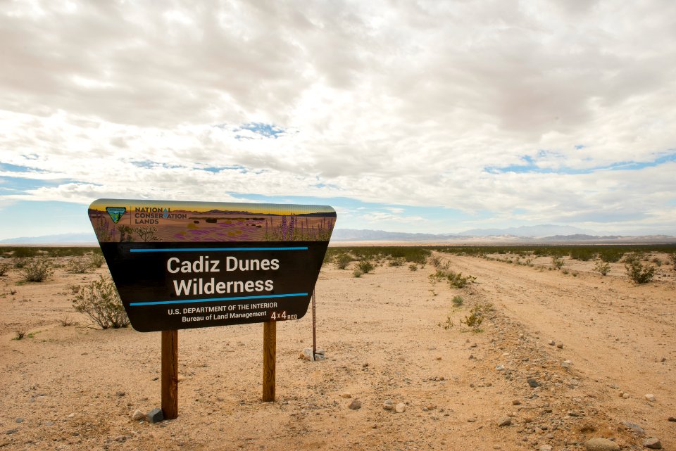 Cadiz Sand Dunes at Mojave Trails National Monument