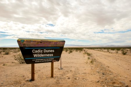 Cadiz Sand Dunes at Mojave Trails National Monument photo