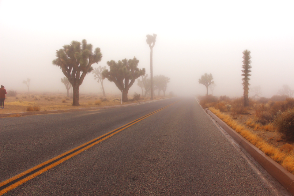 Barber pole in the fog