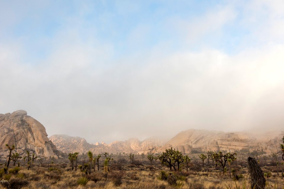 Low lying fog in the Echo T Area
