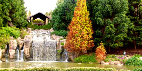 Hunter Valley Gardens 3