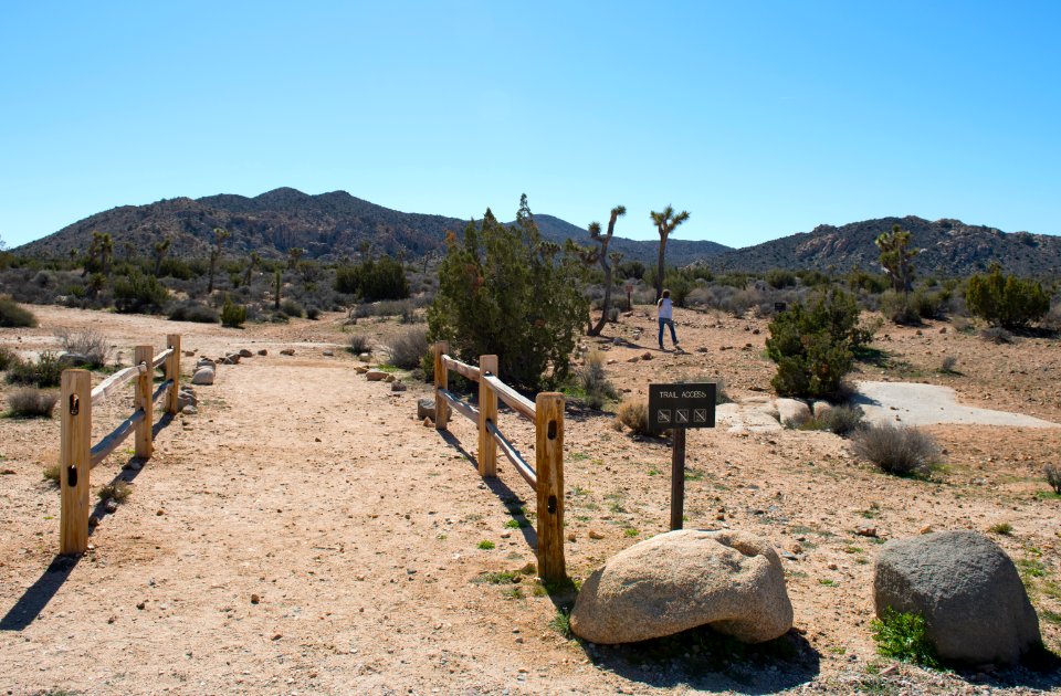 Trail at Ryan Campground