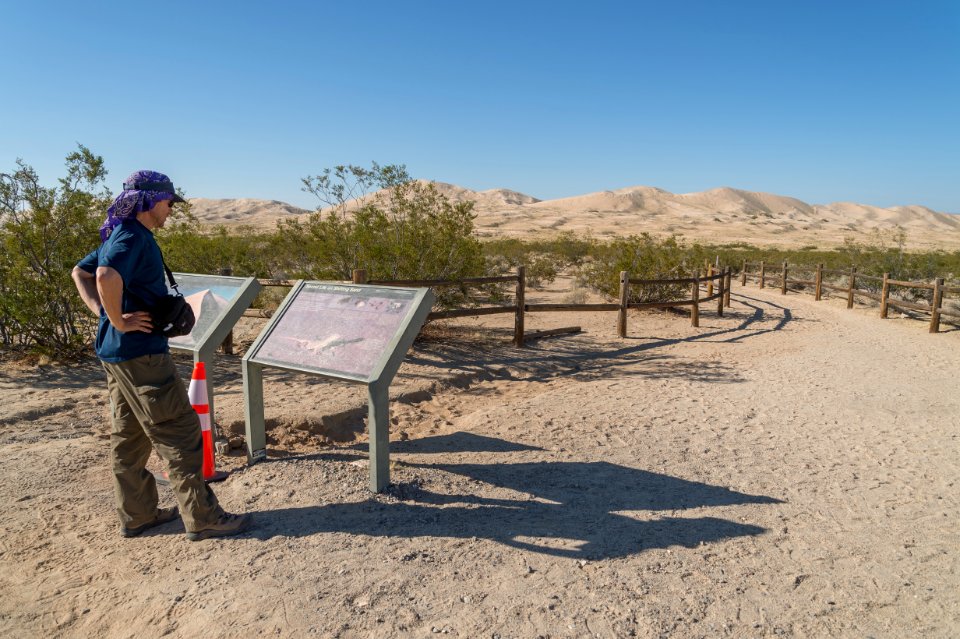 Mojave National Preserve photo