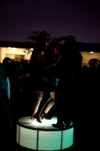 IMG 0453