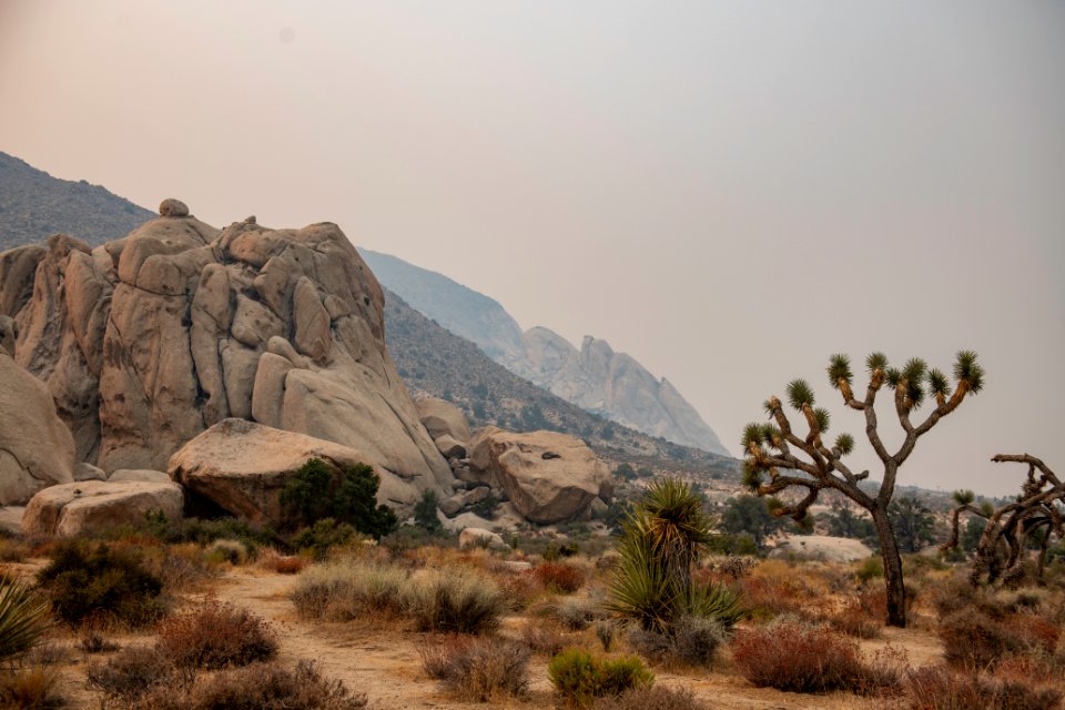 Saddle Rock and Ryan Mountain obscured by wildfire smoke