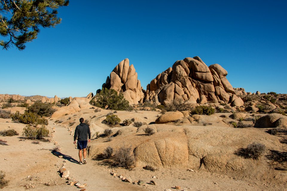 Visitor on the Skull Rock Trail