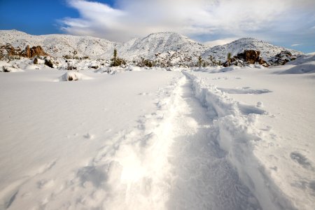 Ryan Ranch Trail in the snow photo