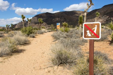 Ryan Campground; Trail to Ryan Ranch