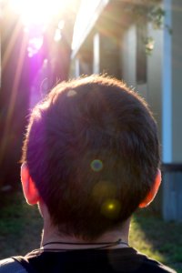 Sun and the Back of a Head