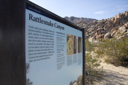 Rattlesnake Canyon Trailhead; Twentynine Palms, CA