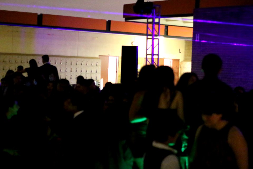 IMG 4902