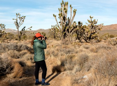 Hiking in the Mojave Preserve Joshua Trees photo