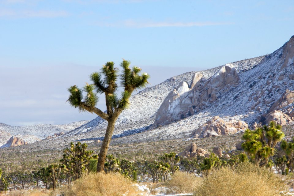 Snowfall on 12/31/14 - Ryan Mountain