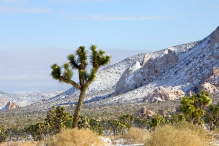 Snowfall on 12/31/14 - Ryan Mountain