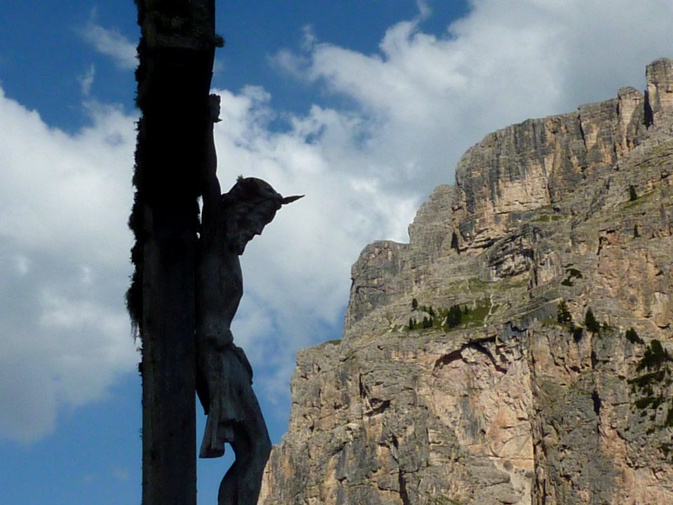 Fiori delle dolomiti