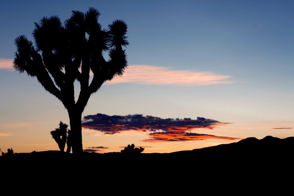 Sunset near Hidden Valley Campground