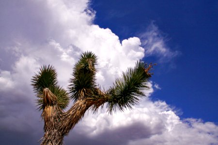 Storm Clouds photo