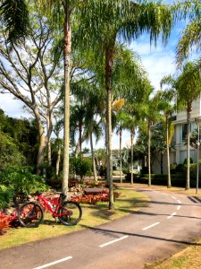 Pedalando pela urbe. Jurerê Internacional- Florianópolis SC.