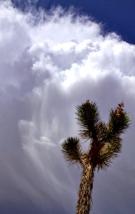 Storm Clouds photo