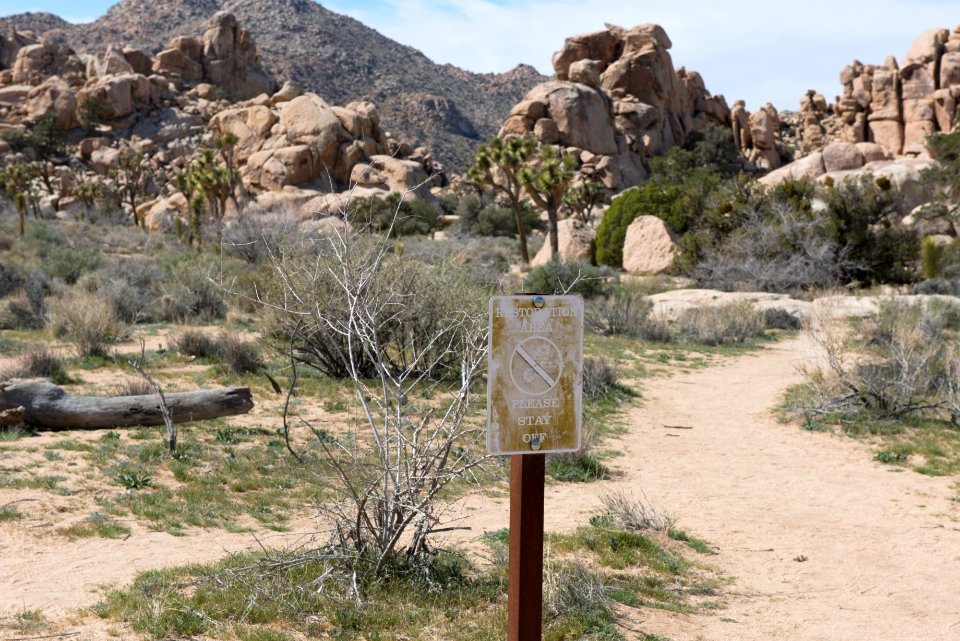 Restoration Sign