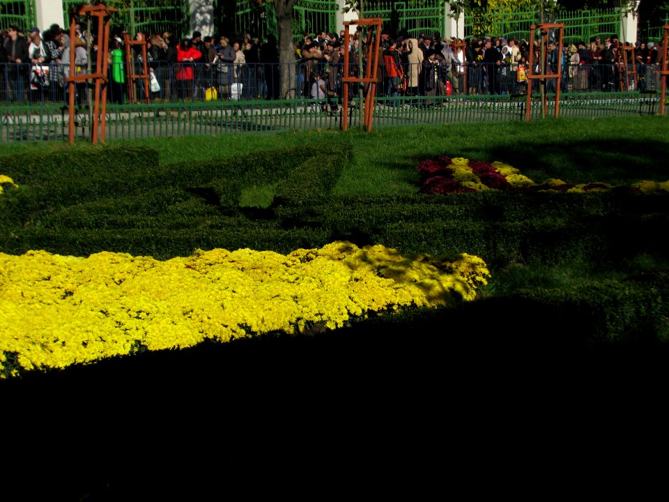 autumn Unirii-Square (60)