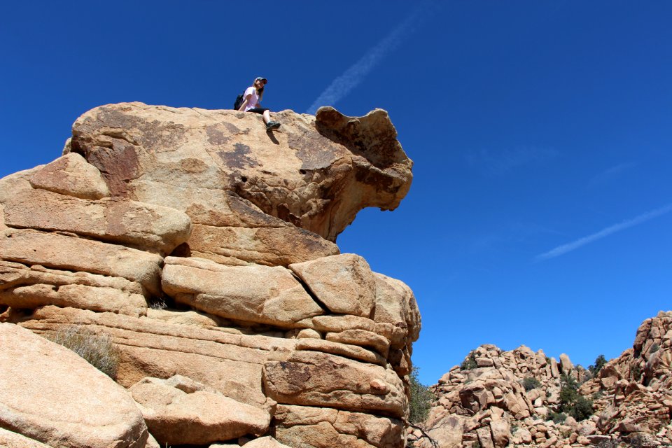 Rock Scrambling in Hidden Valley up to the cow