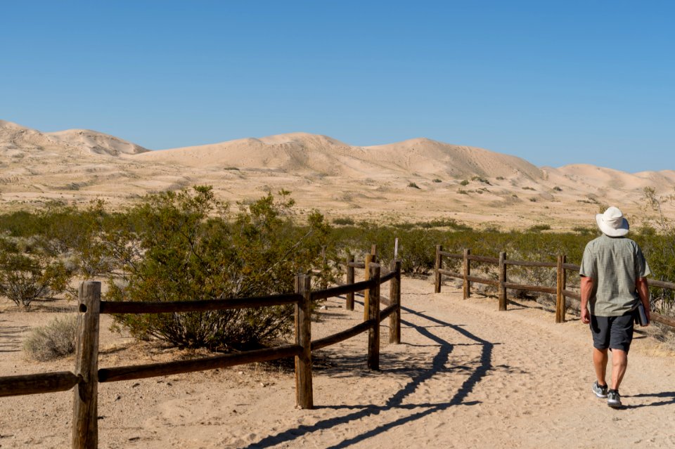 Mojave National Preserve