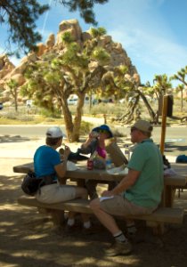 Picnic at Hidden Valley Picnic Tables