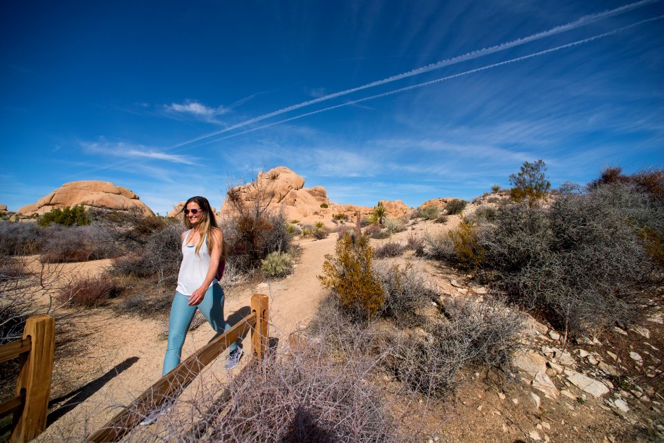 Hikers on the Skull Rock Trail