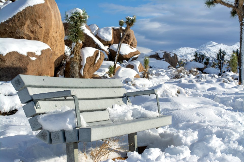 Bench at Cap Rock in the snow