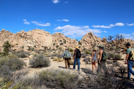 Citizen Scientists hiking in Hidden Valley
