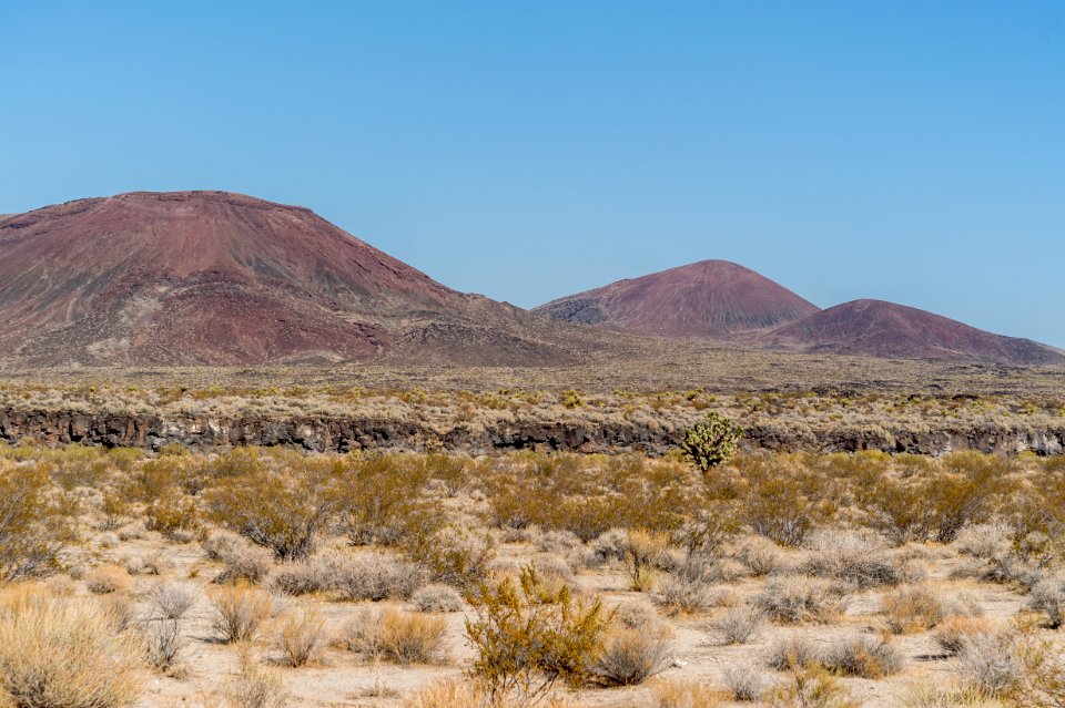 Mojave National Preserve