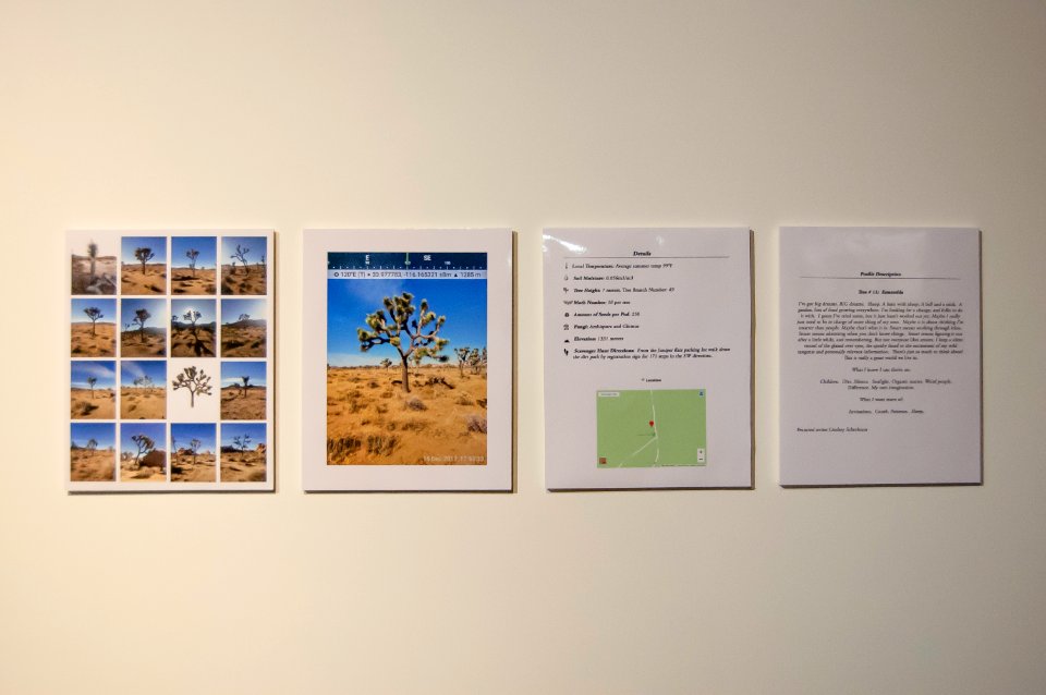 Artwork at the Black Rock Art Gallery opening